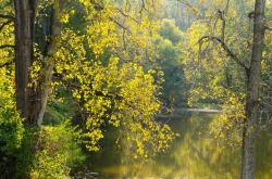 谷雨时节,探索谷雨贴视频的魅力与文化意义