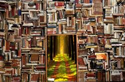 探索奇妙世界,幼儿百科小知识全攻略