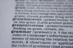 文学小侦探,1-6年级文学常识选择题大揭秘