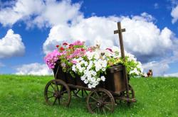 春意盎然,探索春季生活百科的奥秘