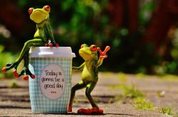 探索世界的奇妙,有趣的百科知识大全视频播放