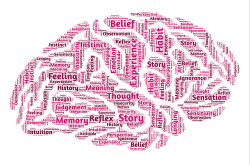 知识百科系列,探索人类智慧的结晶