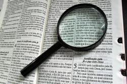 深入解析,税率的知识点与应用