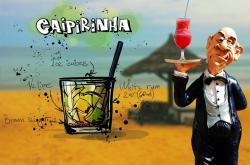 知识小百科，口袋里的智囊团