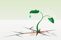 生活小常识,提升生活质量的实用智慧