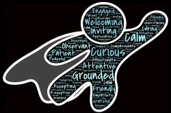 生活百科，日常小知识视频下载指南，让智慧生活触手可及