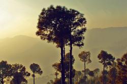 谷雨时节，春末夏初的自然交响曲