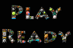 生活百科与生肖，探索文化中的生肖象征