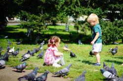 探索奇妙世界，小儿百科小知识视频的趣味之旅