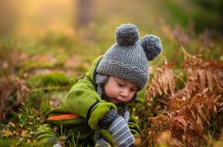 探索奇妙世界，小儿百科小知识视频的趣味之旅