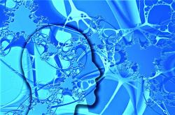 中国题库大全10000题,免费资源的宝藏,知识的海洋