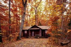 谷雨时节,春的尾声,生命的序章