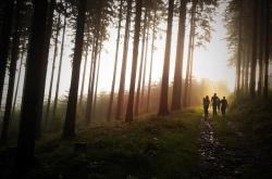 探索未知的奇妙之旅,科普类纪录片推荐