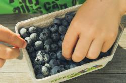 探索水果的奥秘,知识问答篇