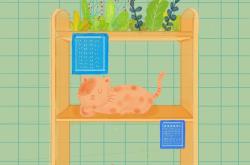 探索幼儿知识故事的奇妙世界,视频教学的魔力