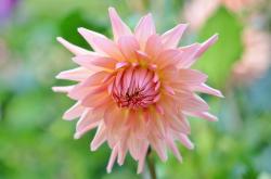 谷雨时节,春末夏初的自然馈赠