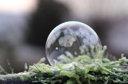 一、蜗牛的繁殖与养殖