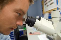 3位科学家因开发分子机器的设计与合成荣获诺贝尔化学奖
