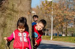 探索奇妙世界，幼儿百科视频大全，开启孩子们的知识之旅