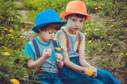 探索幼儿生活经验的源泉，家庭、游戏与自然