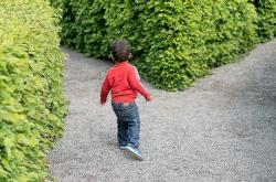 幼小衔接，为孩子的小学生活铺路