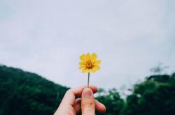 绿色生活，从我做起，探索低碳生活的实践之道