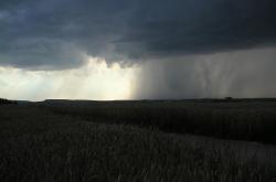 谷雨，春末夏初的转折点，探索谷雨节气的奥秘与习俗