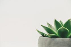 绿色生活，从我做起，日常生活中的低碳生活经验分享
