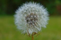 生活智慧的精华，简短生活经验句子