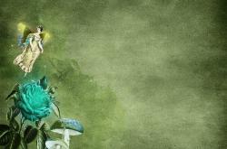 税率的奇幻旅程，一个小故事中的大智慧