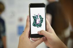 探索知识的宝藏，生活百科知识大全题库图片下载指南