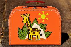 探索世界的奥秘，少儿百科全书的奇妙之旅