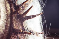 穿梭于现实与幻想，中年男与异世界网购女主的奇妙邂逅