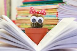 中医的基本知识书籍推荐：轻松入门中医养生与诊疗的实用指南