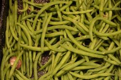 黄秋葵的功效与作用全解析：降血糖、护肠胃、抗氧化，健康饮食必备