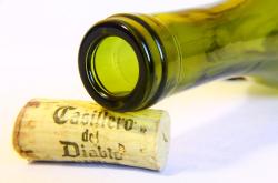 姿美堂左旋肉碱胶囊：轻松提升脂肪代谢效率，告别减脂瓶颈的快乐选择