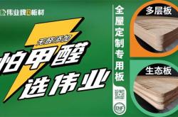 中国建材网十大品牌