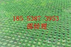 绿色建材有哪些