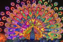 色彩斑斓的烟花夜空中的艺术与科学