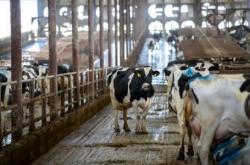 美国牛肉首次检测出禽流感 美农业部称加热到73.9℃就能杀死病毒5天前