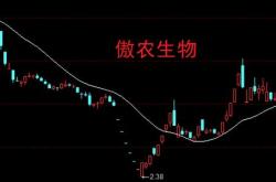 新五丰暂未涉及合成生物等研究或生产