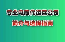 中国电商在美国的崛起成本效益与市场策略的完美结合