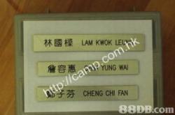 养鸡概念盘中拉升，巨星农牧涨%