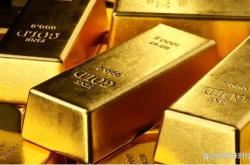 金价跳水与囤金迟疑黄金市场的未来展望