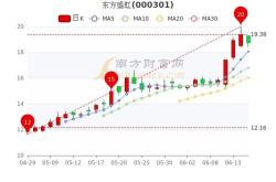 东方盛虹：年第二季度盛虹转债转股股