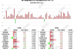能源国际投资控股有限公司