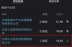 江泰保险经纪应对国资股东接连退出之策略与成效分析