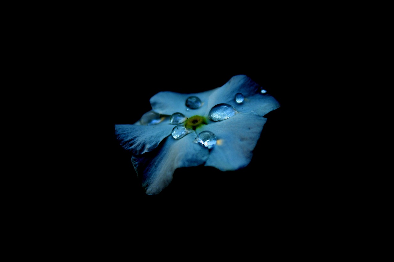 揭秘9月17日，独特魅力的星座使者——天秤座