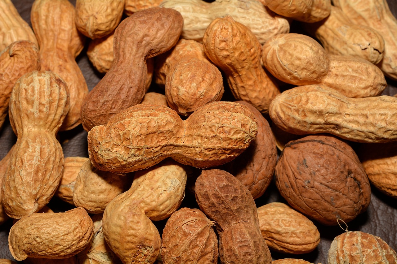 养生秘籍决明子泡水，一壶清热明目，健康常伴左右
