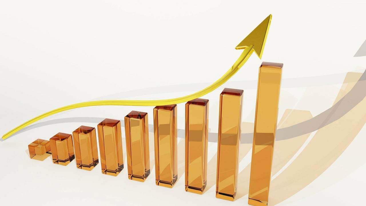 生肖狗的2020年度运势深度解析，金年挑战与机遇并存